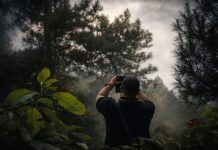 Menjaga Hutan, Menjual Pengalaman: Cerita Dibalik Orchid Forest Cikole Bersama Palawi Risorsis